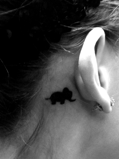 tatuagem elefanta